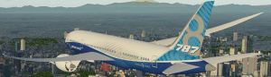 The Dreamliner. Boeing photo.